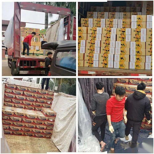 同舟共冀，共同戰“疫”——河北博泉集團捐贈32噸澄邁農產品支援抗疫一線
